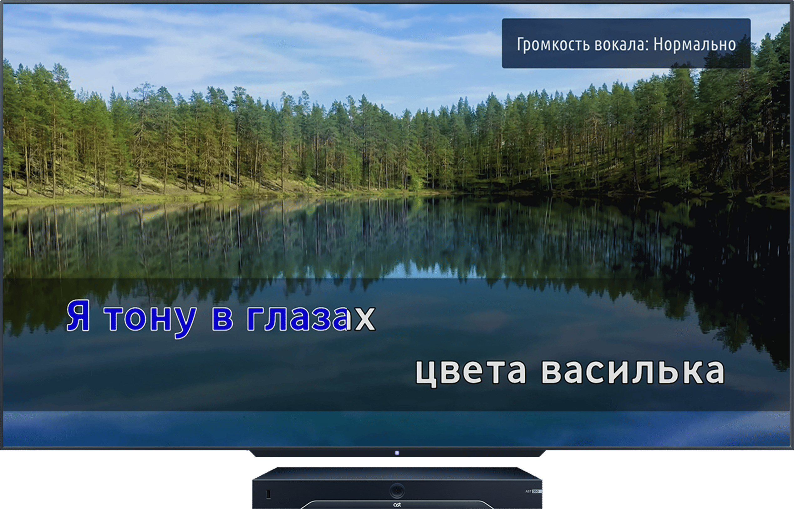 Вокал исполнителя